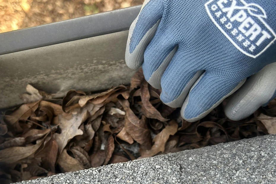 Gutter Cleaning High Point